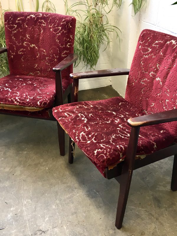 Pair of Parker Knoll Chairs